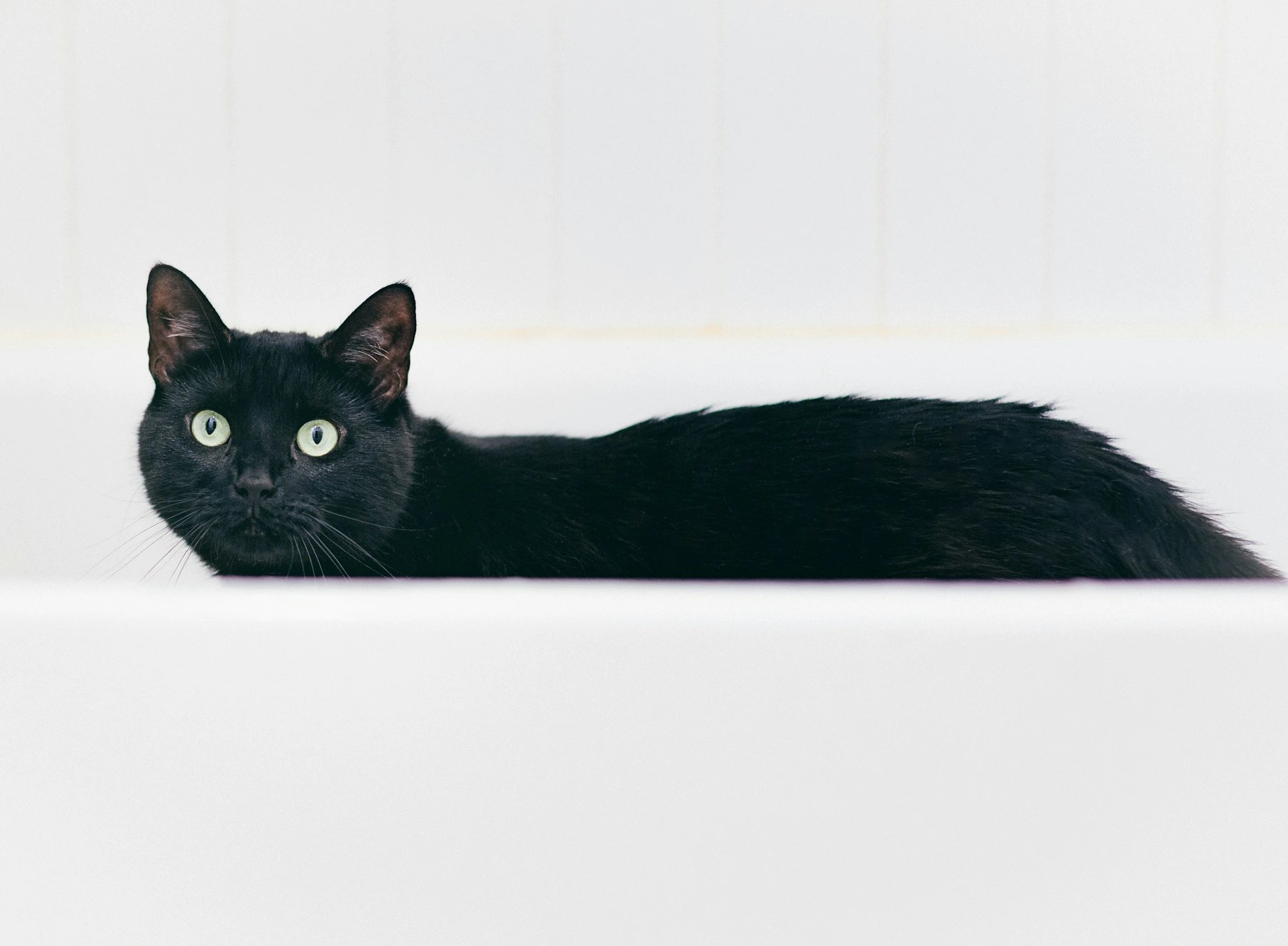 A black cat is lying in a white bathtub.
